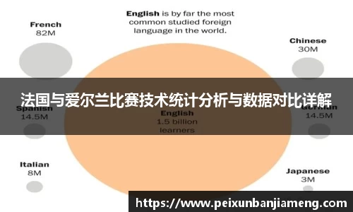 法国与爱尔兰比赛技术统计分析与数据对比详解